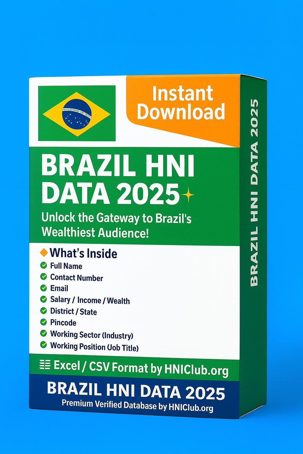 Brazil HNI Data 2025