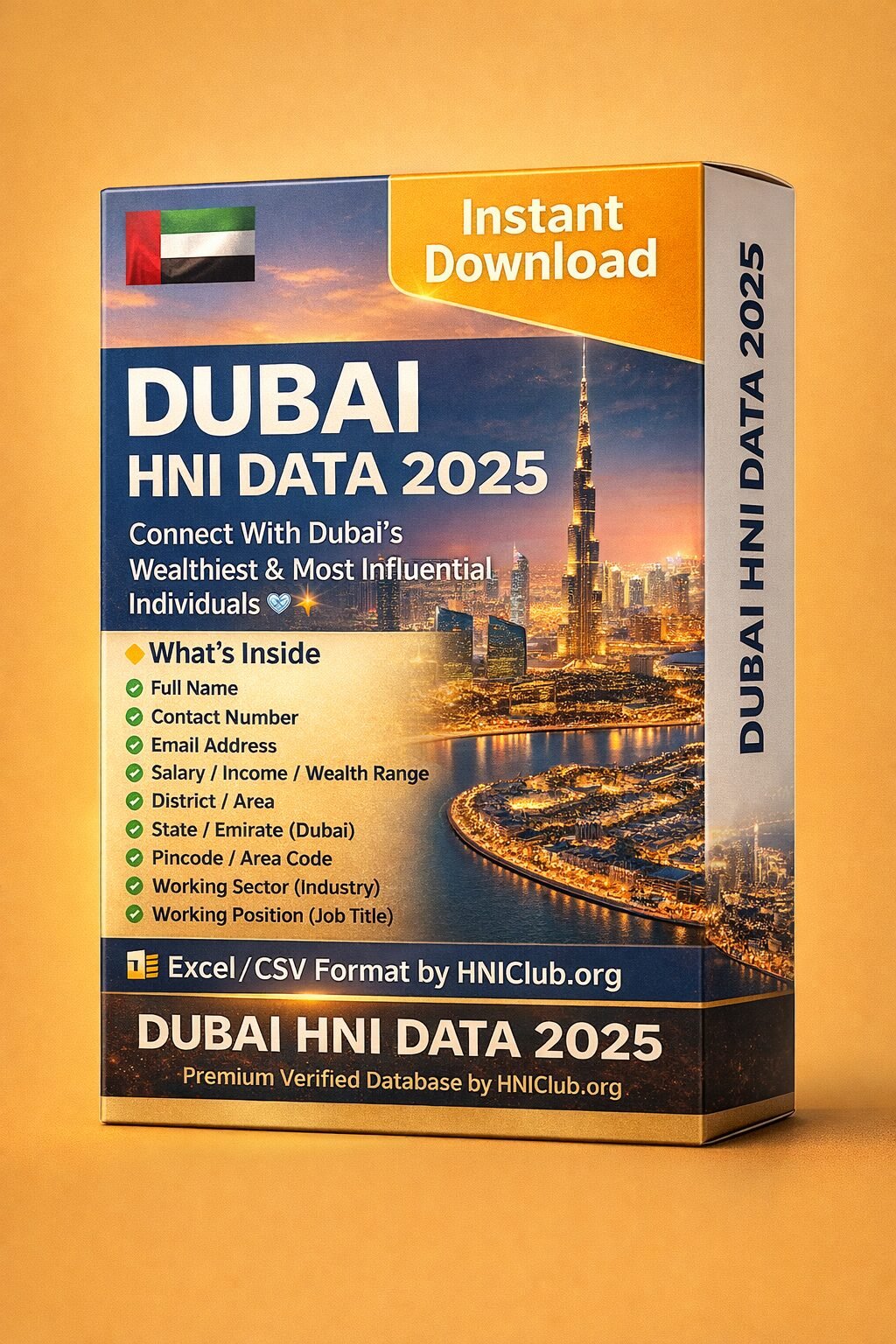 Dubai HNI Data